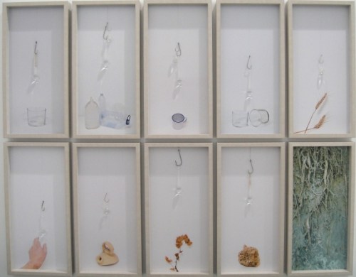 Calero gotas de vida