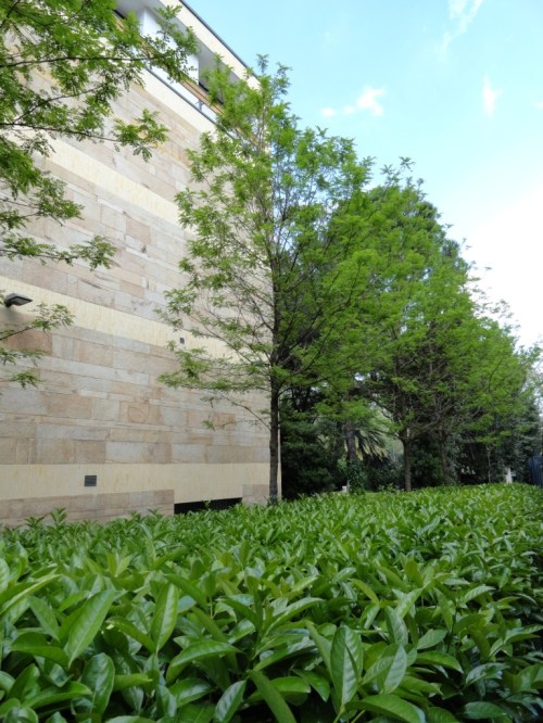 embajada de alemania