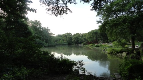 Pond Central Park