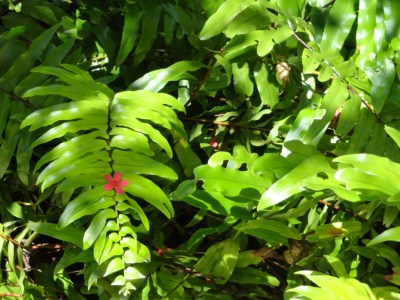 ???????????????????????????????