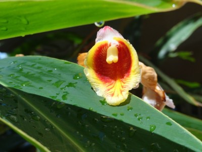 ???????????????????????????????