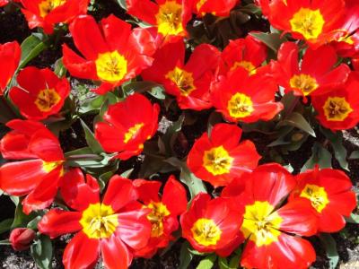 ???????????????????????????????