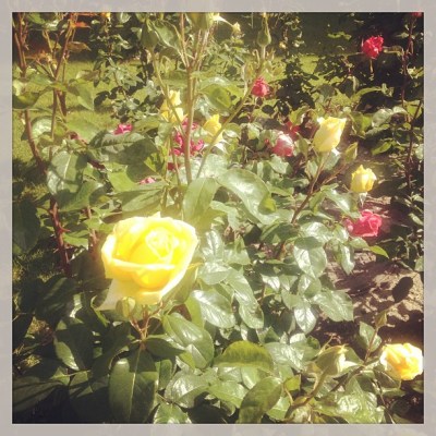 f7b45b50c2ba11e2a31922000a1fbcdc_7