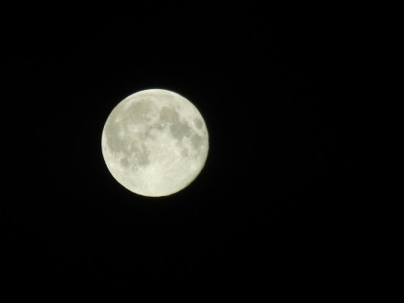 ???????????????????????????????