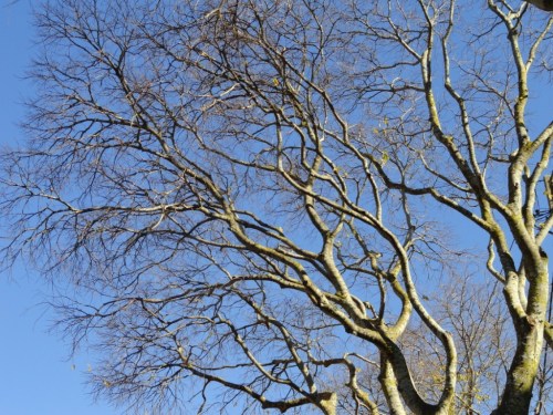 ???????????????????????????????