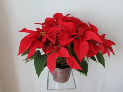 ???????????????????????????????