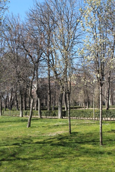 esperando la primavera