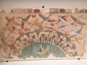 pajaros sobre cienagas