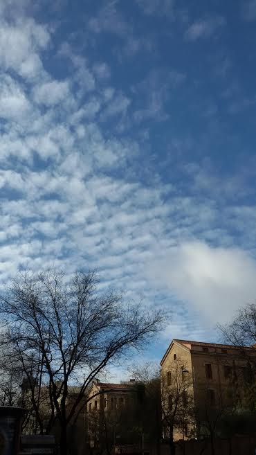 madrid 13 enero 2016